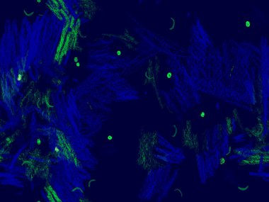 Yaratıcı Boya Başlığı. Mavi 'de Şirin Büyük Sıradışı Geometrik Desen Yatay Şablon için İndigo Arkaplanı. Büyük Modern Asgari Baskı. Soyut Boya Başlığı.