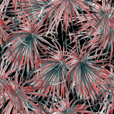 Tropikal desen. Suluboya egzotik çiçekler ve canavar yaprakları. Pürüzsüz siyah morumsu bitkiler. Yaz Hawaii suluboya geçmişi. Tropik palmiyeler, canavarlar, çiçek desenleri..