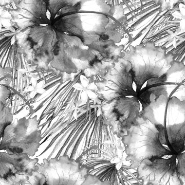 Tropikal desen. Suluboya egzotik çiçekler ve canavar yaprakları. Tertemiz siyah beyaz bitkiler. Yaz Hawaii suluboya geçmişi. Tropik palmiyeler, canavarlar, çiçek desenleri..
