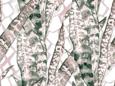 Parlak renklere sahip güzel çiçek arkaplanı