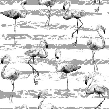 Flamingo deseni. Tropikal yaz siyah baskısı. Kuşlarla dolu egzotik bahar tekstil arka planı. Moda Hawai Ormanı tekrar eden pürüzsüz fayanslar. Çizgili botanik mayo tasarımı. Miami Vahşi Hayatı.