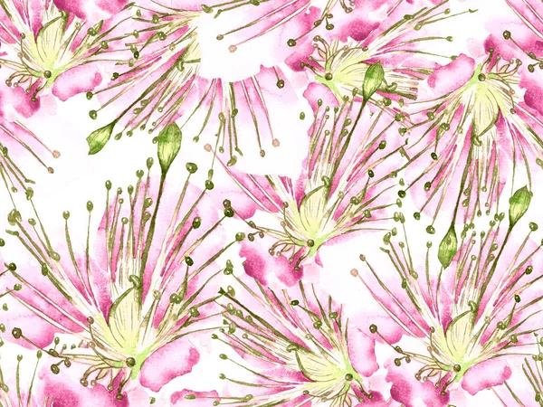 Kalın Çiçek deseni. Pembe ve Sarı Arkaplanda Büyük Egzotik Kusursuz Parmak izi. Büyük Tropikal Bahar Suluboya Lilikoi Sonsuz Geçmişi. Modern Kalın Çiçek Deseni.