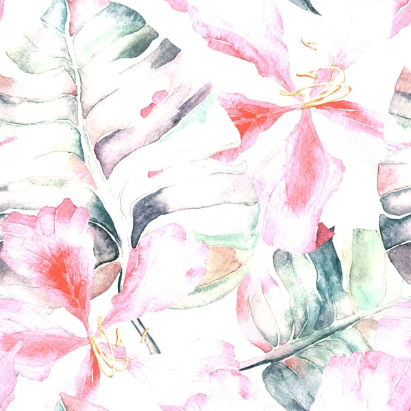 Tatil düzeni. Suluboya tropik çiçekler ve canavar yaprakları. Palm ve Hibiscus ormanları pürüzsüz. Bahar Hawaii suluboya geçmişi. Avuç içleri, canavarlar, mayo izleri..