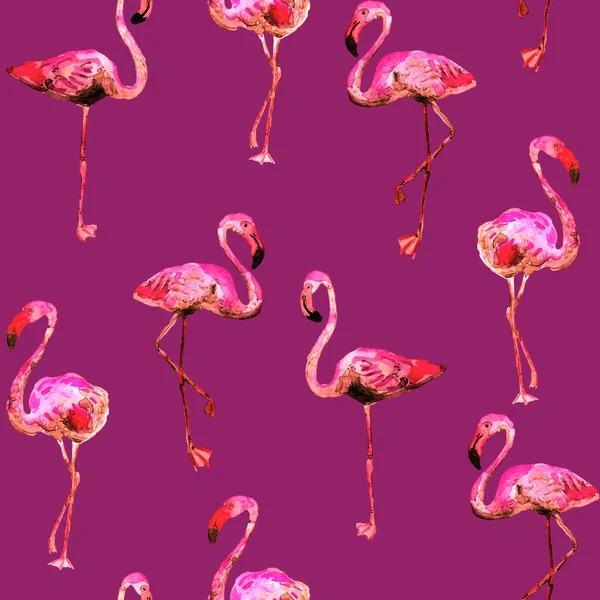 Flamingo Patroon Tropische Zomer Wit Roze Print Exotische Lente Textiel — Stockfoto