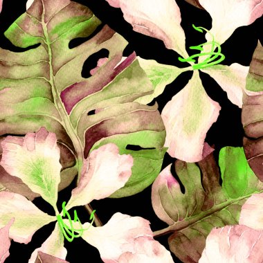 Egzotik desen. Suluboya tropik çiçekler ve canavar yaprakları. Palm ve Hibiscus bitkileri kusursuz desende. Bahar Hawaii suluboya geçmişi. Tropik palmiyeler, canavarlar, çiçek desenleri..