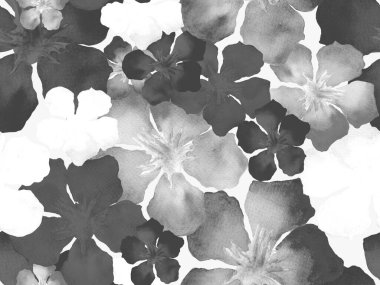 Hawaii suluboya deseni. Siyah ve beyaz tropikal desensiz çiçek deseni. Hibiscus ve zakkum Hawaii 'de. Aloha mayo tasarımı. Egzotik buket moda illüstrasyonu. Suluboya yatay fayans.