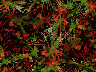 Tehlike izi yok. Kırmızı suluboya fırça darbesi grunge tasarımı. Suluboya soyut sıçrama boyası tasarımı. Kademeli mürekkep lekeleri. Toprak sıçrama deseni. Sıvı damlayan fırça sonsuz iz. 