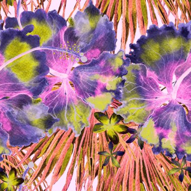 Tropikal desen. Suluboya egzotik çiçekler ve canavar yaprakları. Tertemiz siyah beyaz bitkiler. Yaz Hawaii suluboya geçmişi. Tropik palmiyeler, canavarlar, çiçek desenleri..