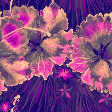 Tropikal desen. Suluboya egzotik çiçekler ve canavar yaprakları. Ultraviyole bitkiler kusursuz desende. Yaz Hawaii suluboya geçmişi. Tropik palmiyeler, canavarlar, çiçek desenleri..