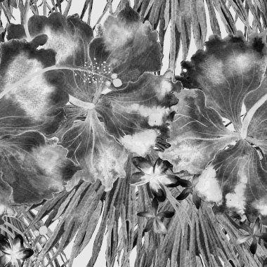 Tropikal desen. Suluboya egzotik çiçekler ve canavar yaprakları. Tertemiz siyah beyaz bitkiler. Yaz Hawaii suluboya geçmişi. Tropik palmiyeler, canavarlar, çiçek desenleri..