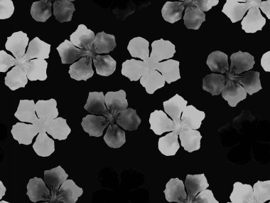 Hawaii suluboya deseni. Siyah ve beyaz tropikal desensiz çiçek deseni. Hibiscus ve zakkum Hawaii 'de. Aloha mayo tasarımı. Egzotik buket moda illüstrasyonu. Suluboya yatay fayans.