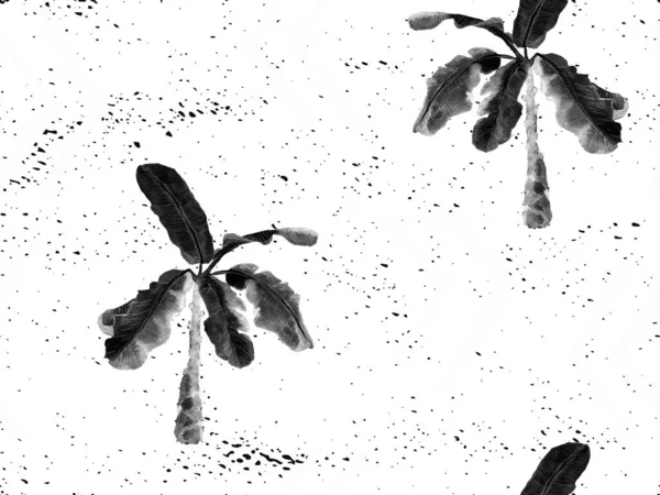 Μαύρο Άσπρο Εξωτικό Μοτίβο Φύλλα Monstera Και Άνθη Ιβίσκου Καλοκαιρινή — Φωτογραφία Αρχείου