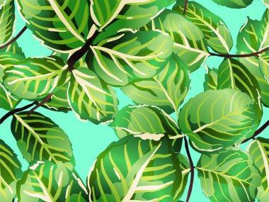 Romantik Botanik Vektör Geçmişi. Aqua Menthe ve Yeşil Tekrarlanan Bahar Şakayık Duvar Kağıdı. Rose Leaves Leamless Destern 'de. Boyalı İngiliz Yaprak Örnekleri Koleksiyonu. Yaz Tekstil Tasarımı.