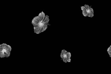 Siyah beyaz egzotik desen. Canavar ve amber çiçekleri tropik buket. Hawaii tişörtü ve mayo fayansı. Yatay romantik vahşi vektör egzotik fayans. Aşırı doğal botanik tasarımı.