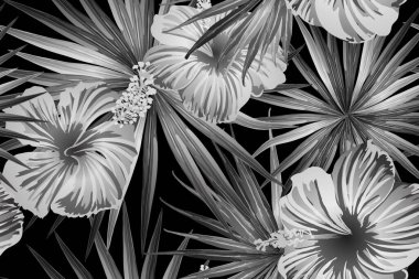 Siyah beyaz egzotik desen. Canavar yaprakları ve amber çiçekleri yaz baskısı. Hawaii tişörtü ve mayo fayansı. Yatay Kaliforniya doğal doku tasarımı. Aşırı doğal botanik tasarımı.