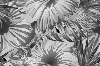 Siyah beyaz egzotik desen. Canavar ve amber çiçekleri tropik buket. Hawaii tişörtü ve mayo fayansı. Yatay Kaliforniya doğal doku tasarımı. Güzel bahar botanik tasarımı.