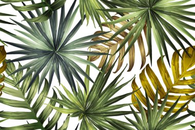 Yeşil kırmızı egzotik desen. Canavar ve amber çiçekleri tropik buket. Doymuş büyük çiçekli mayo izi. Yatay romantik vahşi vektör egzotik fayans. Aşırı doğal botanik tasarımı.