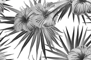 Siyah beyaz egzotik desen. Canavar yaprakları ve amber çiçekleri yaz baskısı. Hawaii tişörtü ve mayo fayansı. Yatay Kaliforniya doğal doku tasarımı. Aşırı doğal botanik tasarımı.