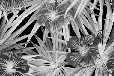 Siyah beyaz egzotik desen. Canavar ve amber çiçekleri tropik buket. Doymuş büyük çiçekli mayo izi. Yatay Kaliforniya doğal doku tasarımı. Aşırı doğal botanik tasarımı.