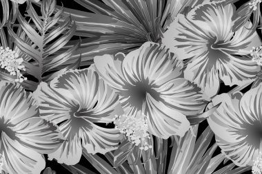 Siyah beyaz egzotik desen. Canavar yaprakları ve amber çiçekleri yaz baskısı. Doymuş büyük çiçekli mayo izi. Yatay romantik vahşi vektör egzotik fayans. Aşırı doğal botanik tasarımı.