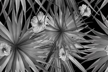 Siyah beyaz egzotik desen. Canavar ve amber çiçekleri tropik buket. Hawaii tişörtü ve mayo fayansı. Yatay romantik vahşi vektör egzotik fayans. Güzel bahar botanik tasarımı.