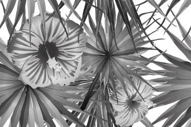 Siyah beyaz egzotik desen. Canavar yaprakları ve amber çiçekleri yaz baskısı. Doymuş büyük çiçekli mayo izi. Yatay Kaliforniya doğal doku tasarımı. Güzel bahar botanik tasarımı.