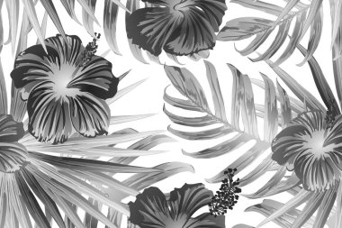 Siyah beyaz egzotik desen. Canavar yaprakları ve amber çiçekleri yaz baskısı. Doymuş büyük çiçekli mayo izi. Yatay Kaliforniya doğal doku tasarımı. Güzel bahar botanik tasarımı.