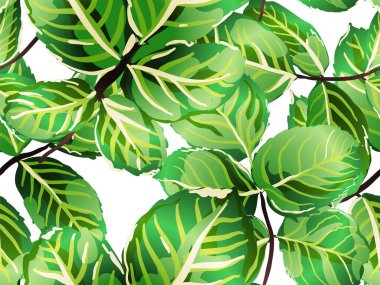 Tekrarlanan Bahar Şakayığı Duvar Kağıdı. Yaz Tekstil Tasarımı. Yeşil ve Aqua Menthe Gül Tertemiz Kalıplar 'dan ayrılıyor. Romantik Botanik Vektör Geçmişi. Boyalı İngiliz Yaprak Örnekleri Koleksiyonu.