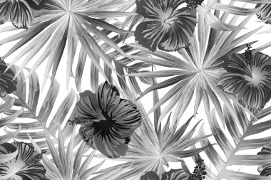 Siyah beyaz egzotik desen. Canavar yaprakları ve amber çiçekleri yaz baskısı. Doymuş büyük çiçekli mayo izi. Yatay romantik vahşi vektör egzotik fayans. Güzel bahar botanik tasarımı.