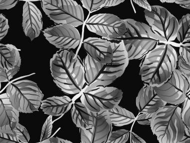 Boyalı İngiliz Yaprak Örnekleri Koleksiyonu. Romantik Botanik Vektör Geçmişi. Tek renkli ve gri tonlu yaz tekstil tasarımı. Rose Leaves Leamless Destern 'de. Tekrarlanan Bahar Şakayık Duvar Kağıdı.
