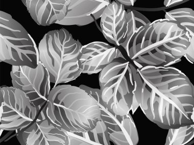 Yaz Tekstil Tasarımı. Romantik Botanik Vektör Geçmişi. Boyalı İngiliz Yaprak Örnekleri Koleksiyonu. Tek renkli ve Gri tonlu Tekrarlanan Bahar Şakayığı Duvar Kağıdı. Gül Yapraksız Kalıp.