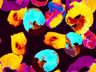 Suluboya Turuncu Çiçek ve Yapraklar. Canlı Sakura ve Jasmine Print. Biyo Jasmin Kusursuz Şablon. Çiçek Ayurveda deseni. Yaz Vintage Arkaplanı. Klasik Mavi ve Lush Lav Kırmızısı