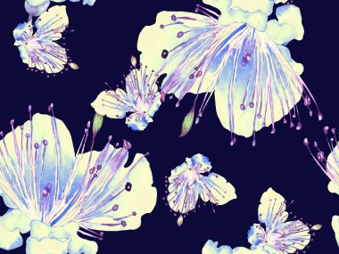 Cesur Çiçek Tasarımı. Siyah ve Beyaz Arkaplanda Büyük Hawaii Kusursuz Parmak izi. Büyük Hawaii Yaz Sulu Granadilla Sonsuz Arkaplan. Sanatsal Kalın Çiçek Tasarımı.