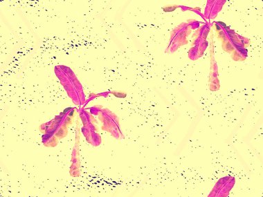 Sarı pembe egzotik desen. Canavar yaprakları ve amber çiçekleri yaz baskısı. Hawaii tişörtü ve mayo fayansı. Yatay Kaliforniya doğal doku tasarımı. Güzel bahar botanik tasarımı.