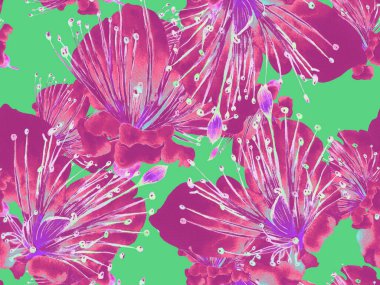 Cesur Çiçek Tasarımı. Yeşil ve Kızıl Arkaplanda Büyük Tropikal Kusursuz Parmak izi. Büyük Hawaii Bahar Suyu Tutku Meyvesi Sonsuz Arkaplan. Sanatsal Kalın Çiçek Tasarımı.