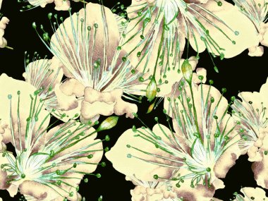 Kalın Çiçek deseni. Siyah ve Beyaz Arkaplanda Büyük Hawaii Kusursuz Parmak izi. Büyük Egzotik Bahar Kova Tutkusu Meyvesi Sonsuz Arkaplan. Kalın Çiçek Tasarımı.