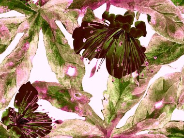 Çiçek desenli moda. Kahverengi Arkaplanda Büyük Hawaii Kusursuz Parmak izi, Kara Arkaplan. Büyük Tropikal Yaz Maracuya Sonsuz Arkaplan. Rastgele Çiçek Deseni.