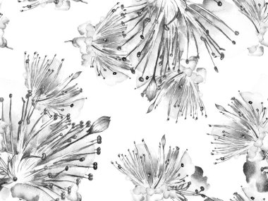 Kalın Çiçekler. Siyah ve Beyaz Arkaplanda Büyük Egzotik Kusursuz Parmak izi. Büyük Hawaii Bahar Aquarelle Maracuya Sonsuz Arkaplan. Soyut Kalın Çiçek Yazdırma. 