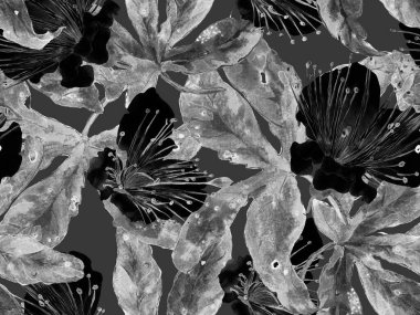 Kalın Çiçekler. Siyah ve Beyaz Arkaplanda Büyük Ormansız Parmak izi. Büyük Orman Baharı Maracuya Sonsuz Arkaplanı. Soyut Kalın Çiçek Yazdırma. 