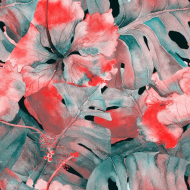 Yaz döngüsü. Suluboya tropik çiçekler ve canavar yaprakları. Palm ve Hibiscus ormanları pürüzsüz. Bahar Hawaii suluboya geçmişi. Avuç içleri, canavarlar, mayo izleri..