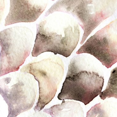 Gri ve Bej Yılan Tasarımı. Suluboya El Çizilmiş Piton Yazısı. Kobra Derisi Egzotik Doku. Geometrik Yılan Arkaplanı. Zehir ve Yılan derisi. Suluboya El Boyalı Arkaplan.