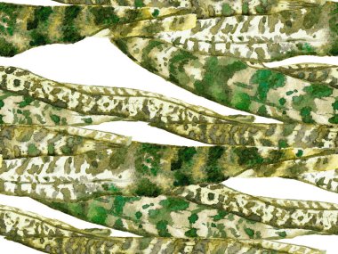 Suluboya kusursuz desen bırakır. Klasik Eko Uyum. Yaz Çiçeği Arkaplanı. Botanik Ormanı Çizimi. Egzotik Mayo Tasarımı. Hawaii Kova Parmak izi. Yeşil ve Gri