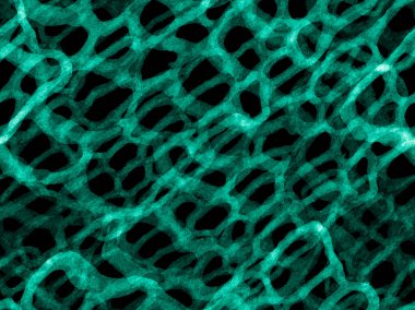 Timsah Kusursuz Şablon. Yeşil ve Aqua Menthe Hand Timsah desenli. Afrika Hayvan Deri Çizimi. Yırtıcı Hayvan Derisi İzi. Ejderha Derisi Taklidi. Timsah Kapanış Arkaplanı.