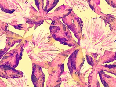 Kalın Çiçek deseni. Kızıl Arkaplanda Büyük Hawaii Kusursuz Parmak izi. Büyük Orman Bahar Kova Lilikoi Sonsuz Arkaplanı. Kalın Çiçek Tasarımı.