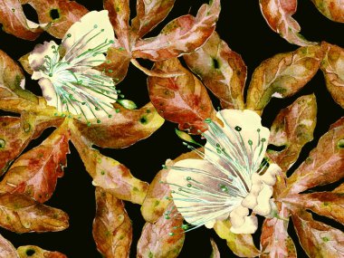 Cesur Çiçek Tasarımı. Kahverengi Arkaplanda Geniş Ormansız Parmak izi, Kara Arkaplan. Büyük Egzotik Bahar Kova Granadilla Sonsuz Arkaplan. Sanatsal Kalın Çiçek Tasarımı.