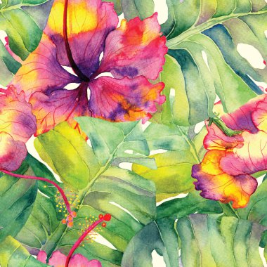 Tatil düzeni. Suluboya tropik çiçekler ve canavar yaprakları. Palm ve Hibiscus ormanları pürüzsüz. Bahar Hawaii suluboya geçmişi. Avuç içleri, canavarlar, mayo izleri..