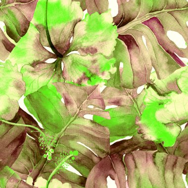 Yaz döngüsü. Suluboya tropik çiçekler ve canavar yaprakları. Palm ve Hibiscus ormanları pürüzsüz. Bahar Hawaii suluboya geçmişi. Tropik palmiyeler, canavarlar, çiçek desenleri..