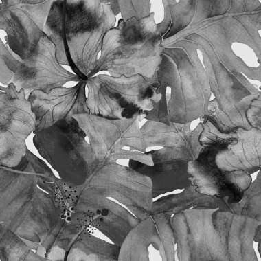 Tropikal desen. Suluboya egzotik çiçekler ve canavar yaprakları. Palm ve Hibiscus bitkileri kusursuz desende. Bahar Hawaii suluboya geçmişi. Avuç içleri, canavarlar, mayo izleri..