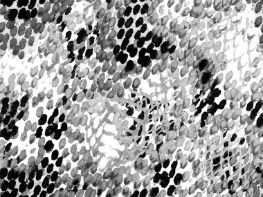 Geo Symmetric Ikat Rapport. Canlı Geometrik Mayo Kalıbı. Etnik Kusursuz Düzen. Siyah ve Beyaz Suluboya Etnik Tasarım. Yaz Rhombus Arkaplanı. Yılan Derisi Rastgele Doku.