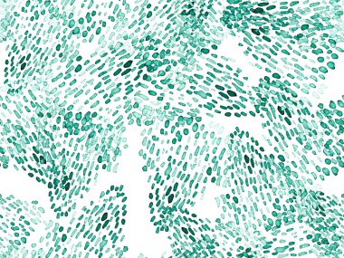 Kızıl Leopar Kusursuz Şablon. Suluboya El Çita Yazısı. Vahşi Cilt Egzotik Doku. Geometrik Kürk arka planı. Leopar ve Jaguar Deri. Suluboya El Boyalı Cilt Deseni.